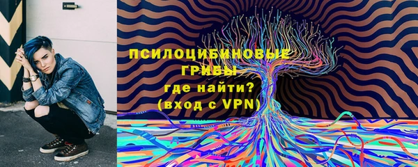 амф Майский