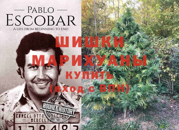 круглые Магас