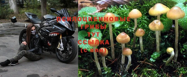 мдма Магадан