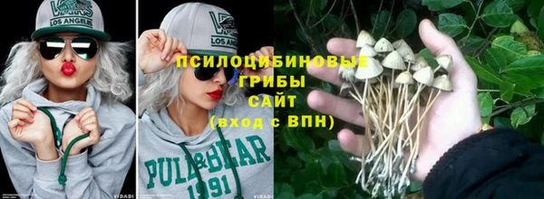 гашик Балашиха