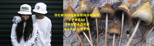 круглые Магас