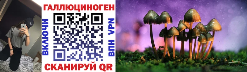 Псилоцибиновые грибы Magic Shrooms  даркнет сайт  Сызрань 
